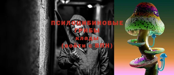 герыч Алексин