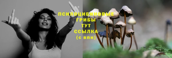 mdpv Коряжма