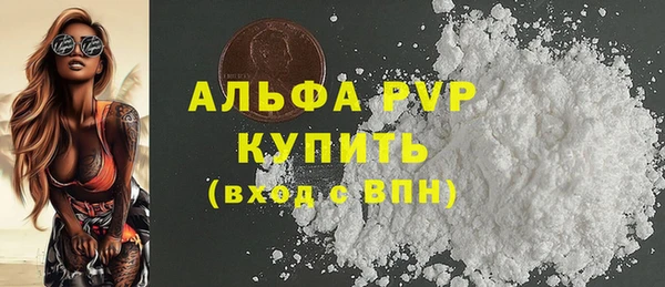 прущие грибы Корсаков