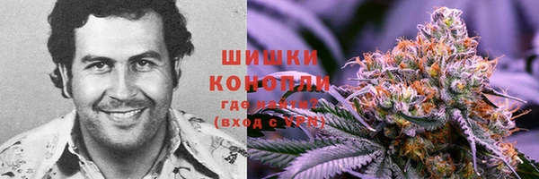 ГАЛЛЮЦИНОГЕННЫЕ ГРИБЫ Алзамай