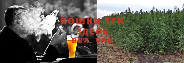 ГАЛЛЮЦИНОГЕННЫЕ ГРИБЫ Алзамай