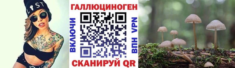 Галлюциногенные грибы Psilocybine cubensis  блэк спрут сайт  Островной 